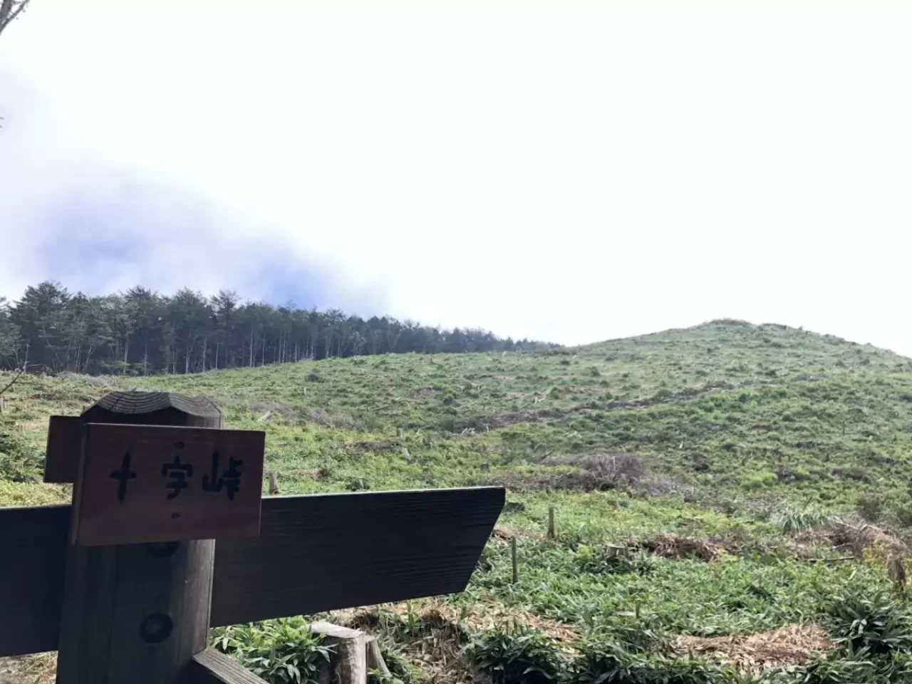 皿ヶ嶺の十字峠