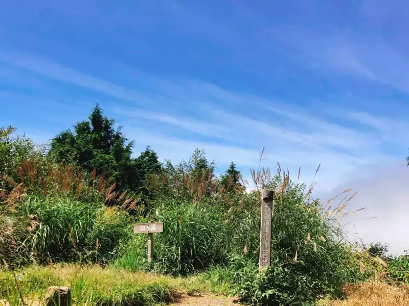 皿ヶ嶺山頂