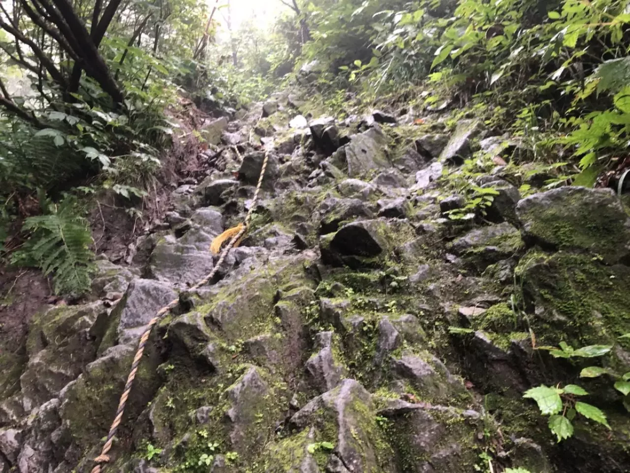 大山ユートピアルートの岩場
