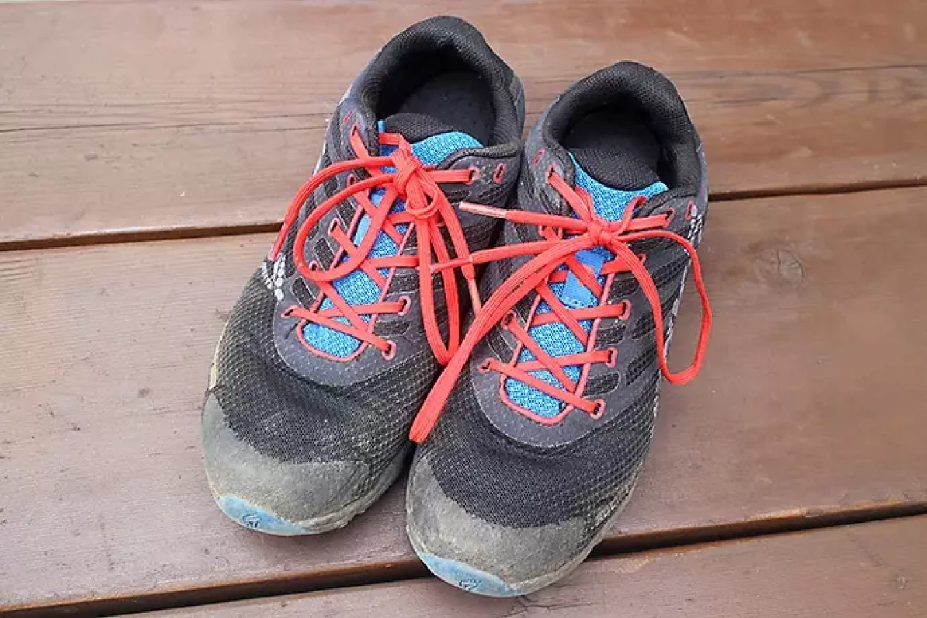 イノヴェイトのトレランシューズ