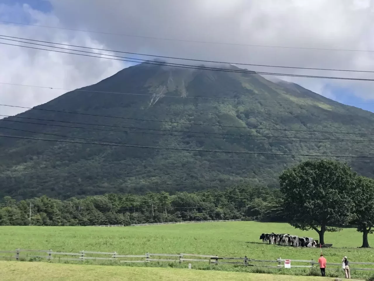大山まきばミルクの里から見る大山