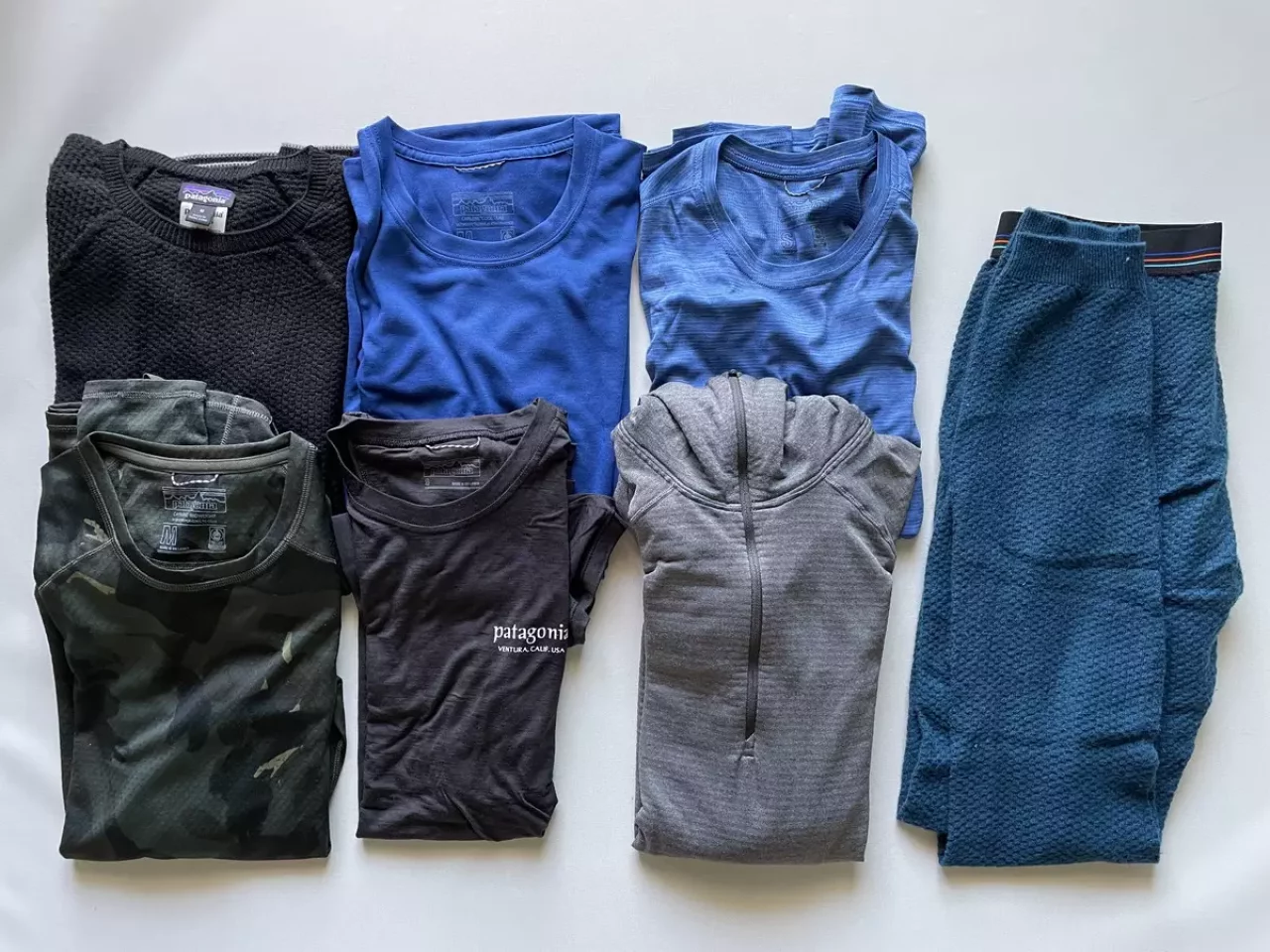 パタゴニアキャプリーンの種類