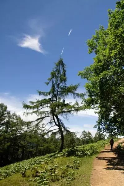 雲取山