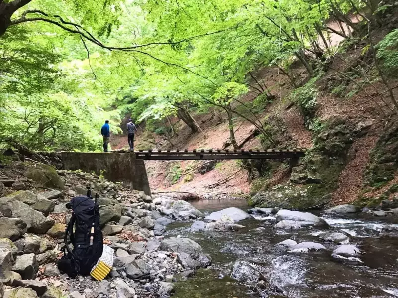 後山林道