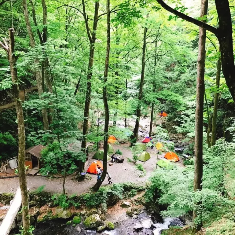 雲取山 三条の湯のテント場