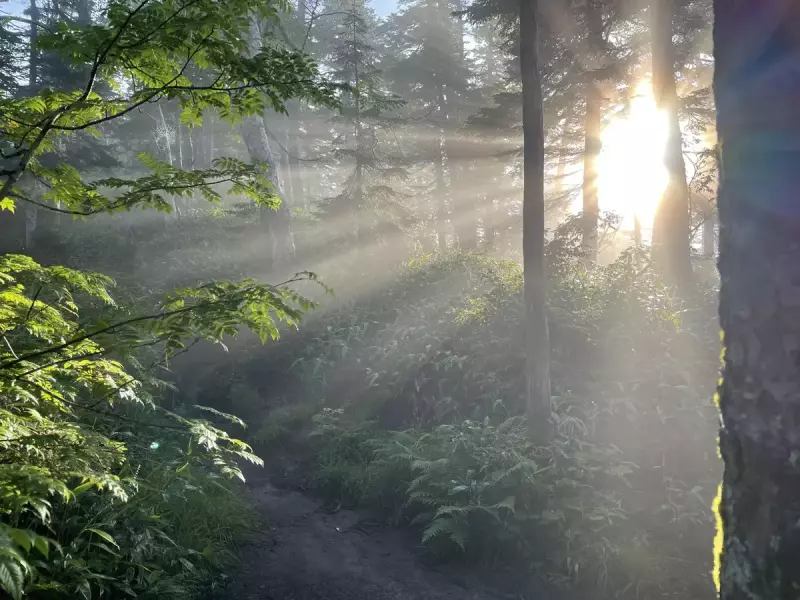 焼岳の魅力をたっぷり堪能
