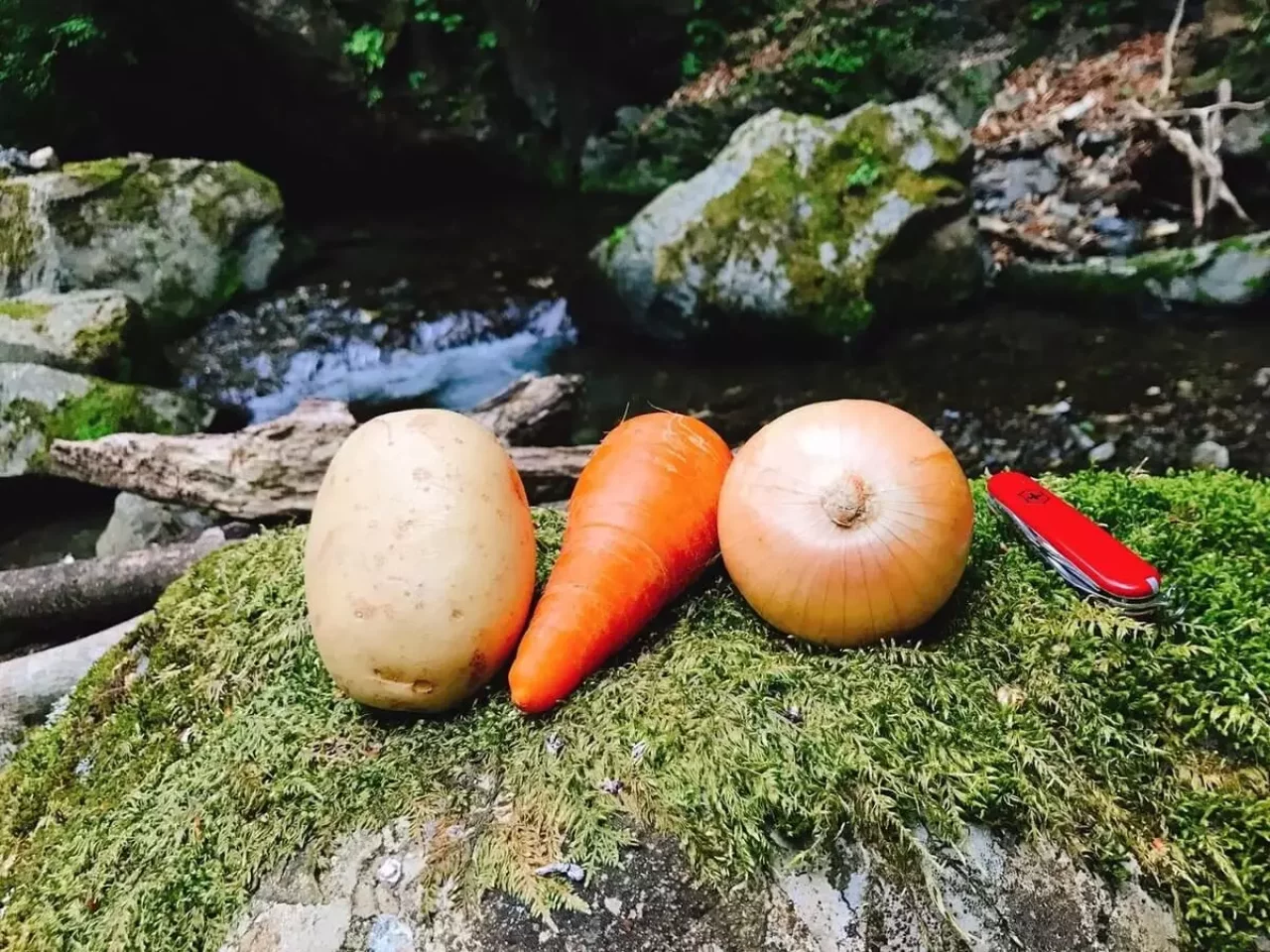 雲取山 三条の湯のテント場