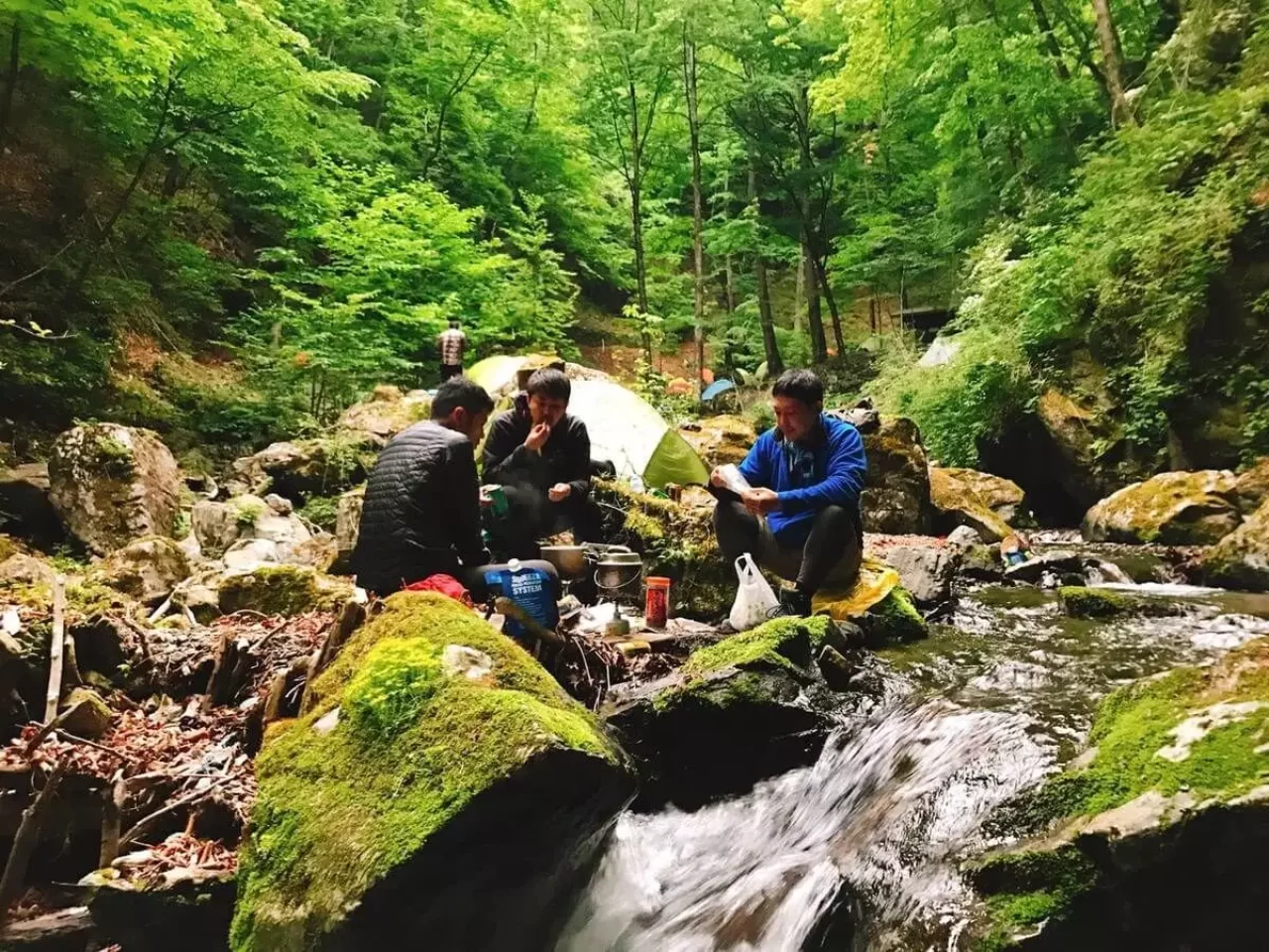 雲取山 三条の湯のテント場