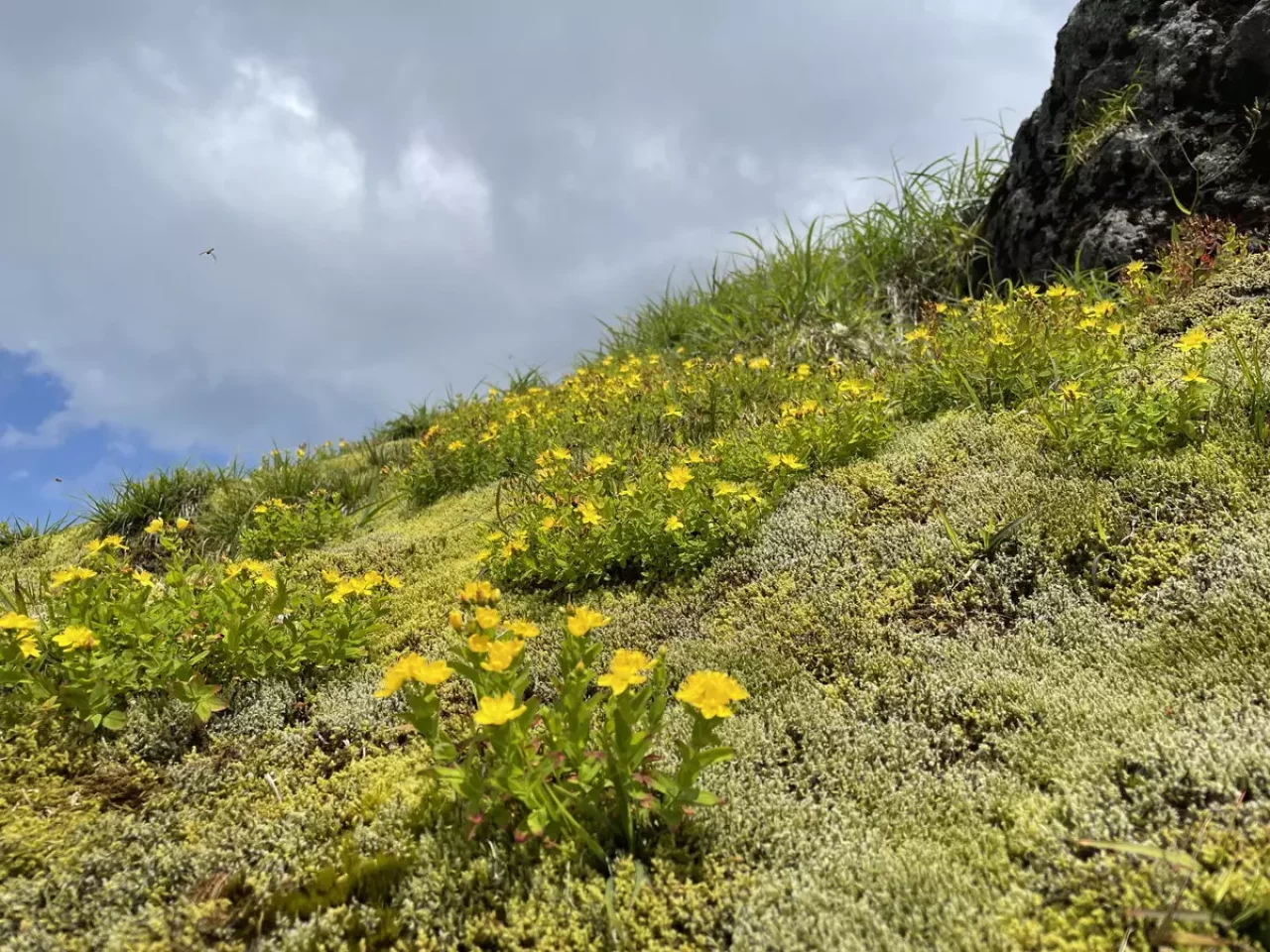 焼岳のダイナミックな景色