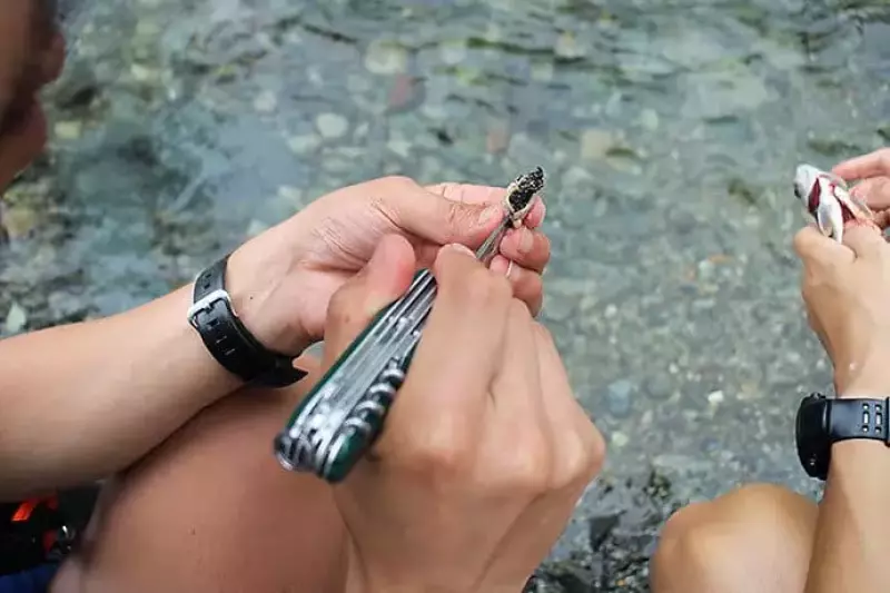 岩魚を解体