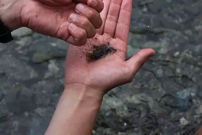 岩魚を解体