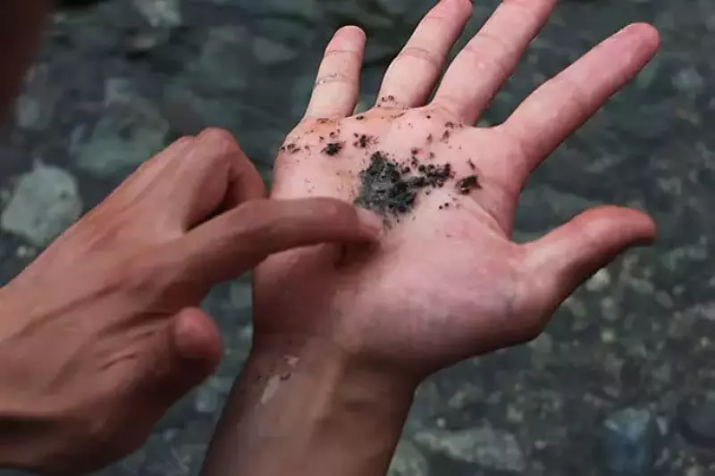 岩魚を解体