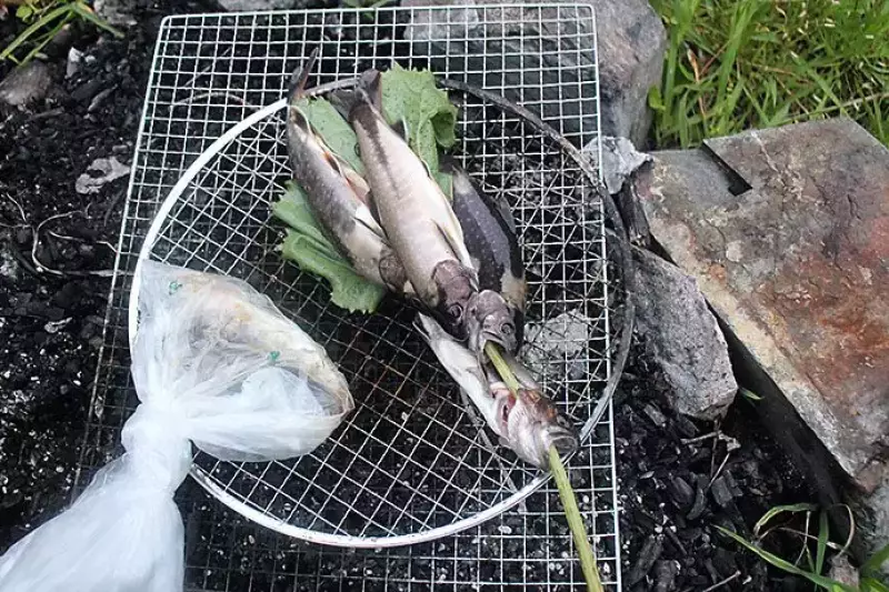 釣り上げた岩魚達