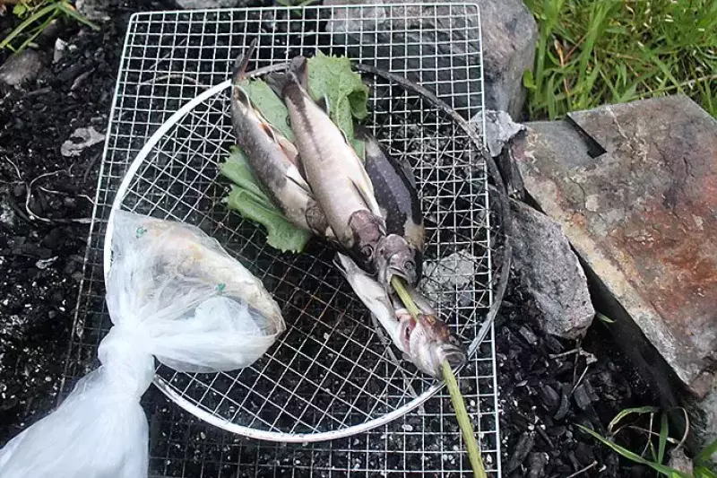 釣り上げた岩魚達