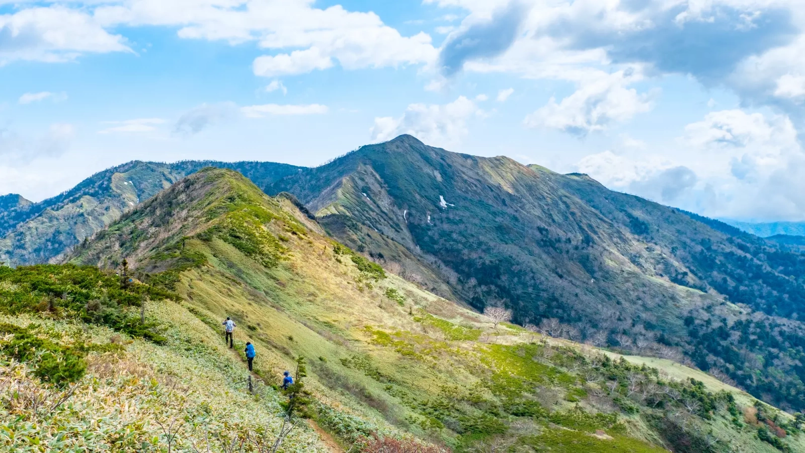 高山植物を楽しむ日帰り登山におすすめ 白砂山の難易度別登山ルートを解説