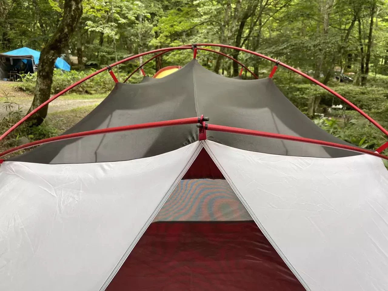 ハピチュードの天井部分