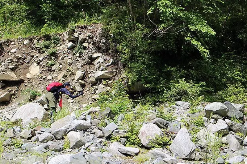 ナミネムくん釣り