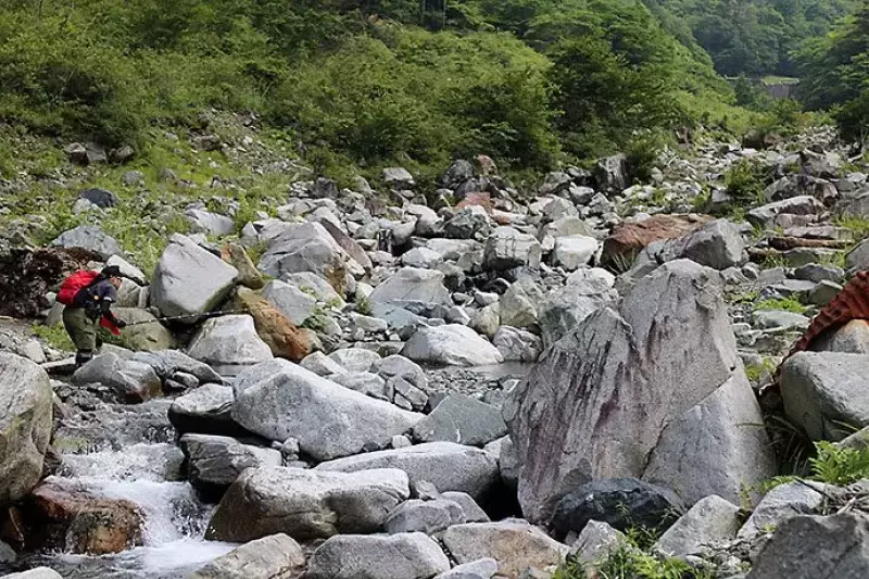 ナミネムくんの釣り