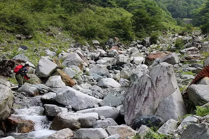 ナミネムくんの釣り
