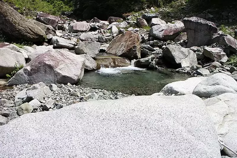 スミスの偏向サングラス