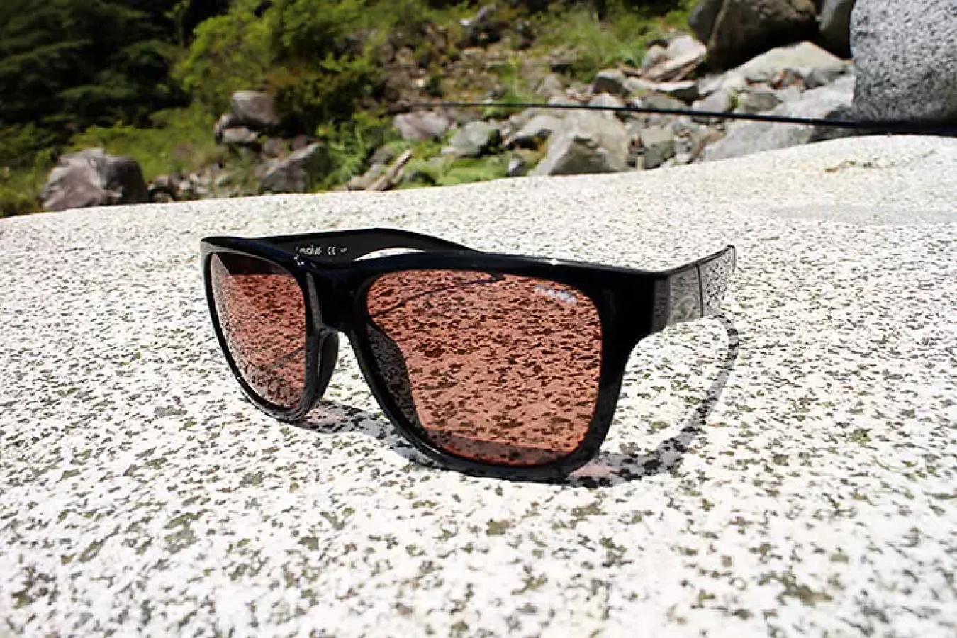 スミスの偏向サングラス 魚がみつかる