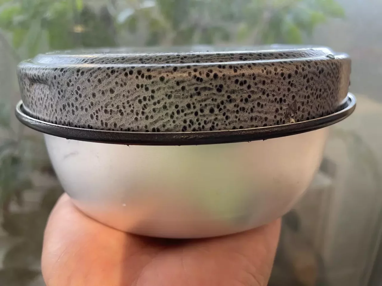 ミニトランギアの蓋