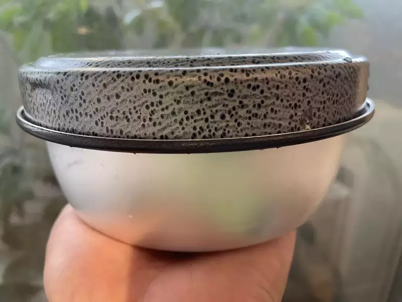 ミニトランギアの蓋