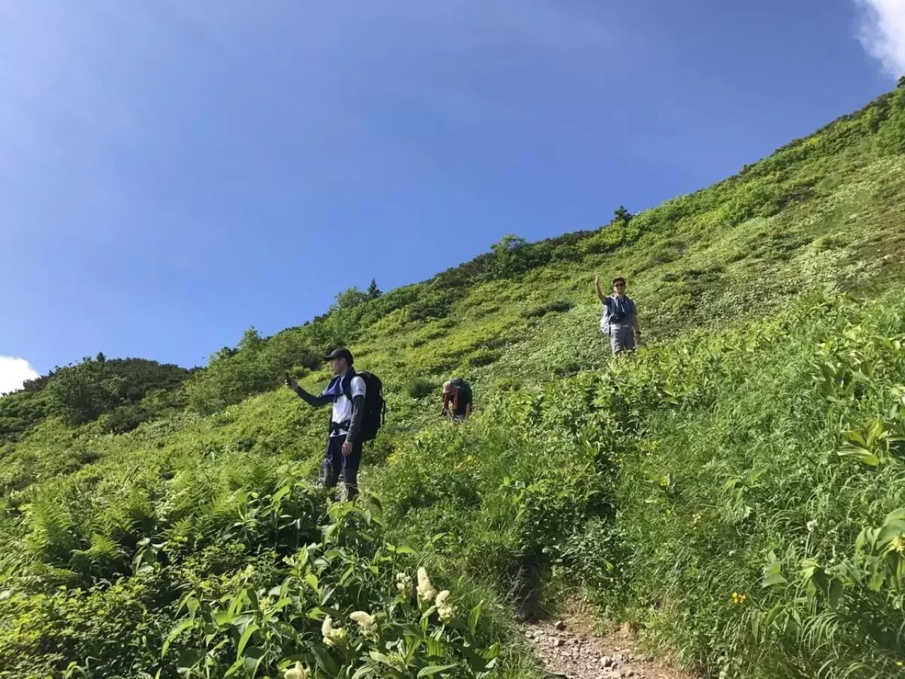 登山で虫よけ