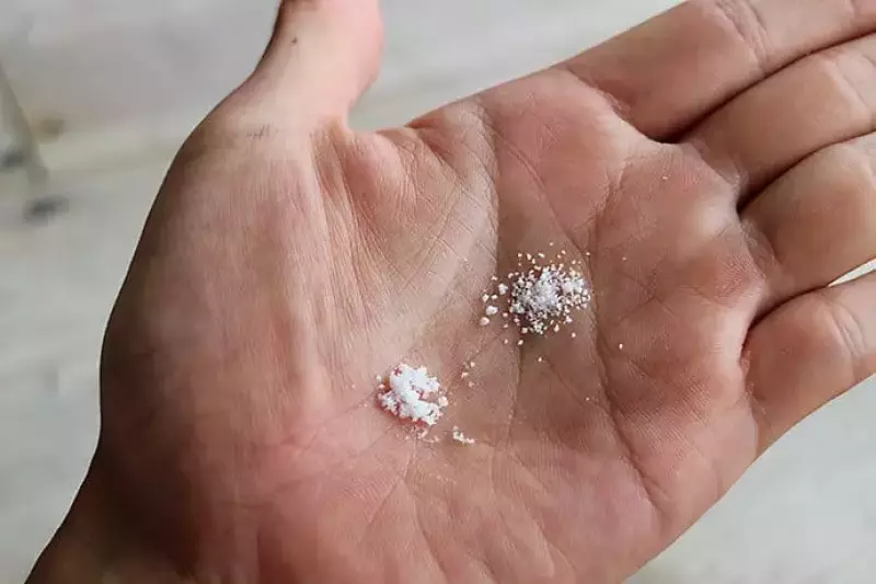 海の精の塩