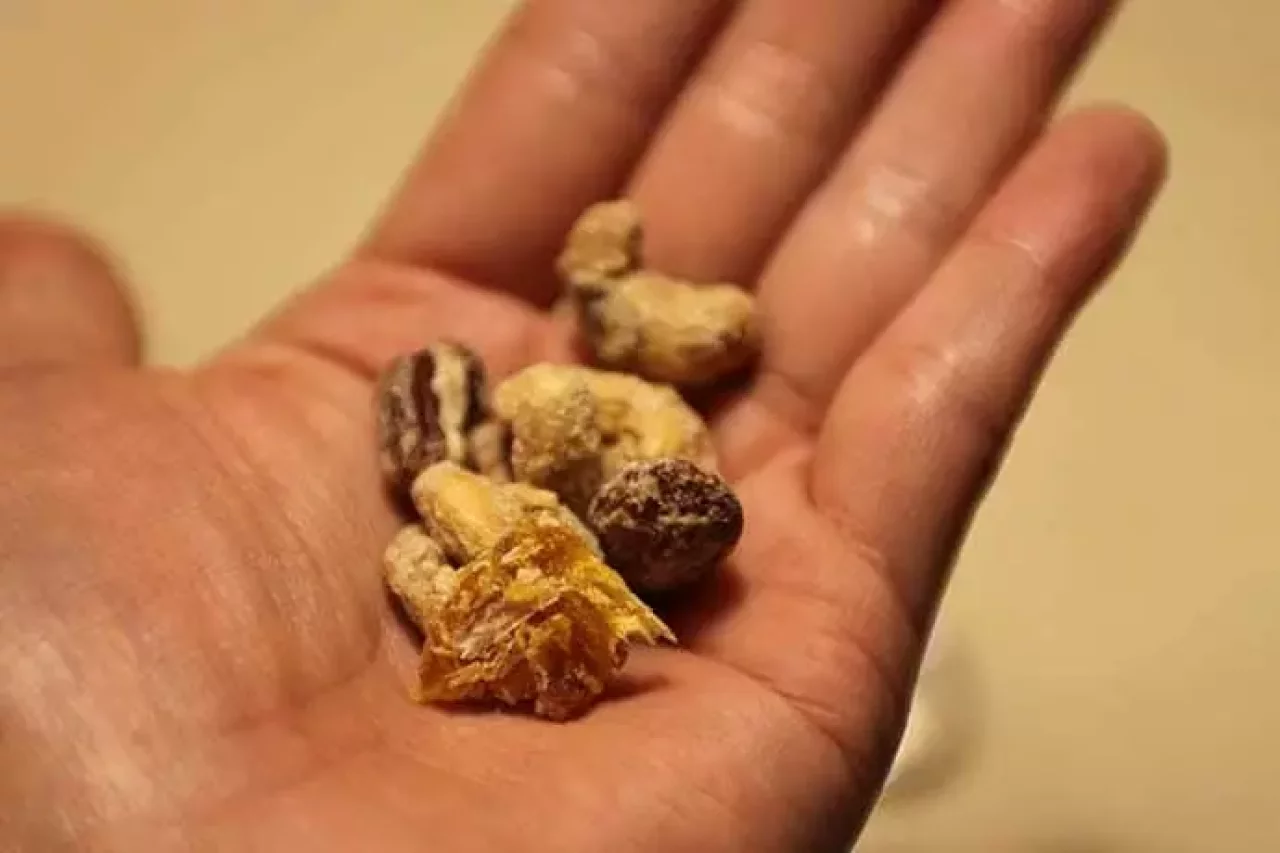 FROM FARMのミックスナッツ