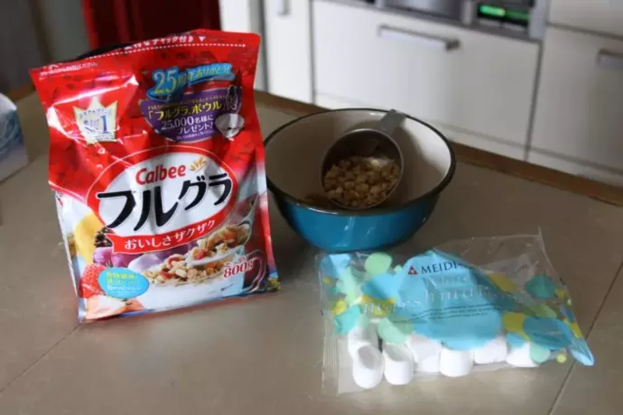 自作行動食-栄養満点バーの材料