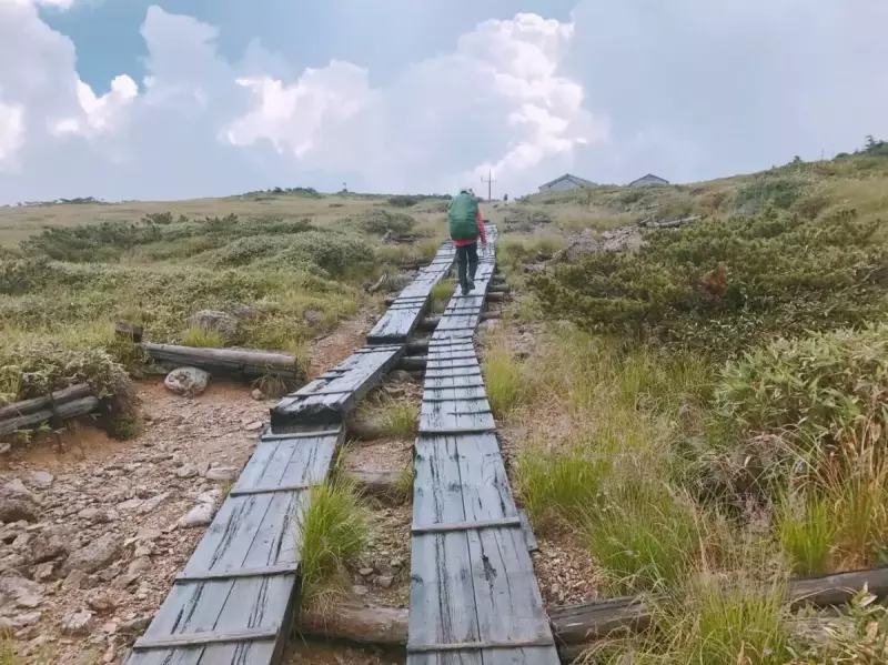 登山道を太郎平小屋に向かって