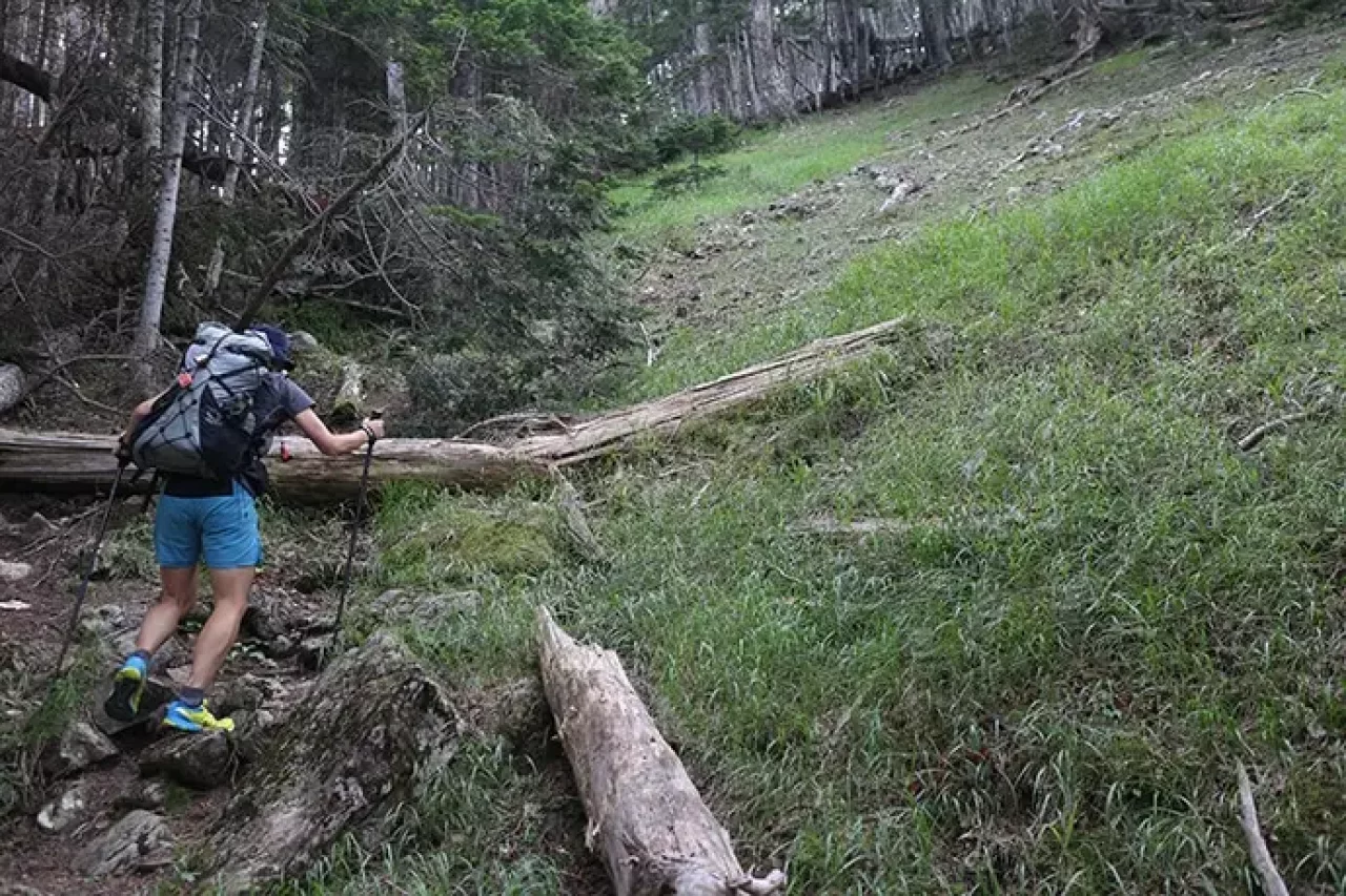 広河原峠までの登山道