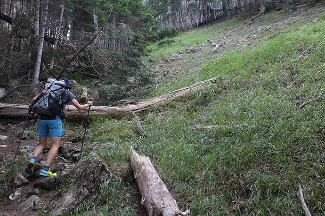 C&Fデザイン ウルトラトレイルカーボンストック