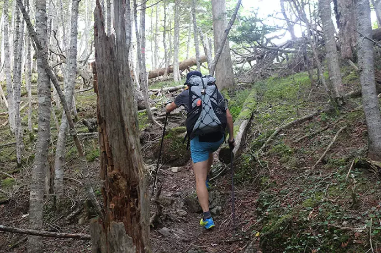 C&Fデザイン ウルトラトレイルカーボンストック