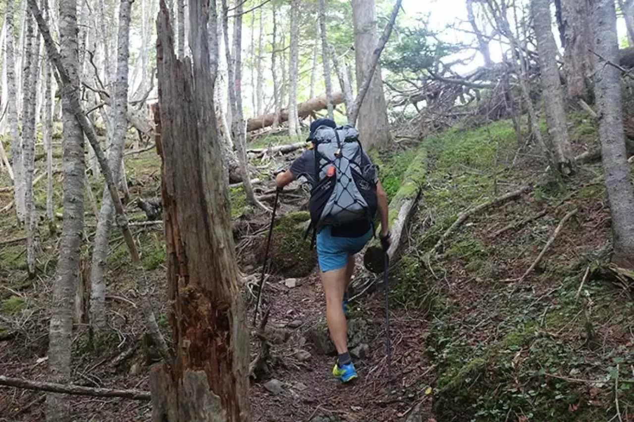 広河原峠までの登山道