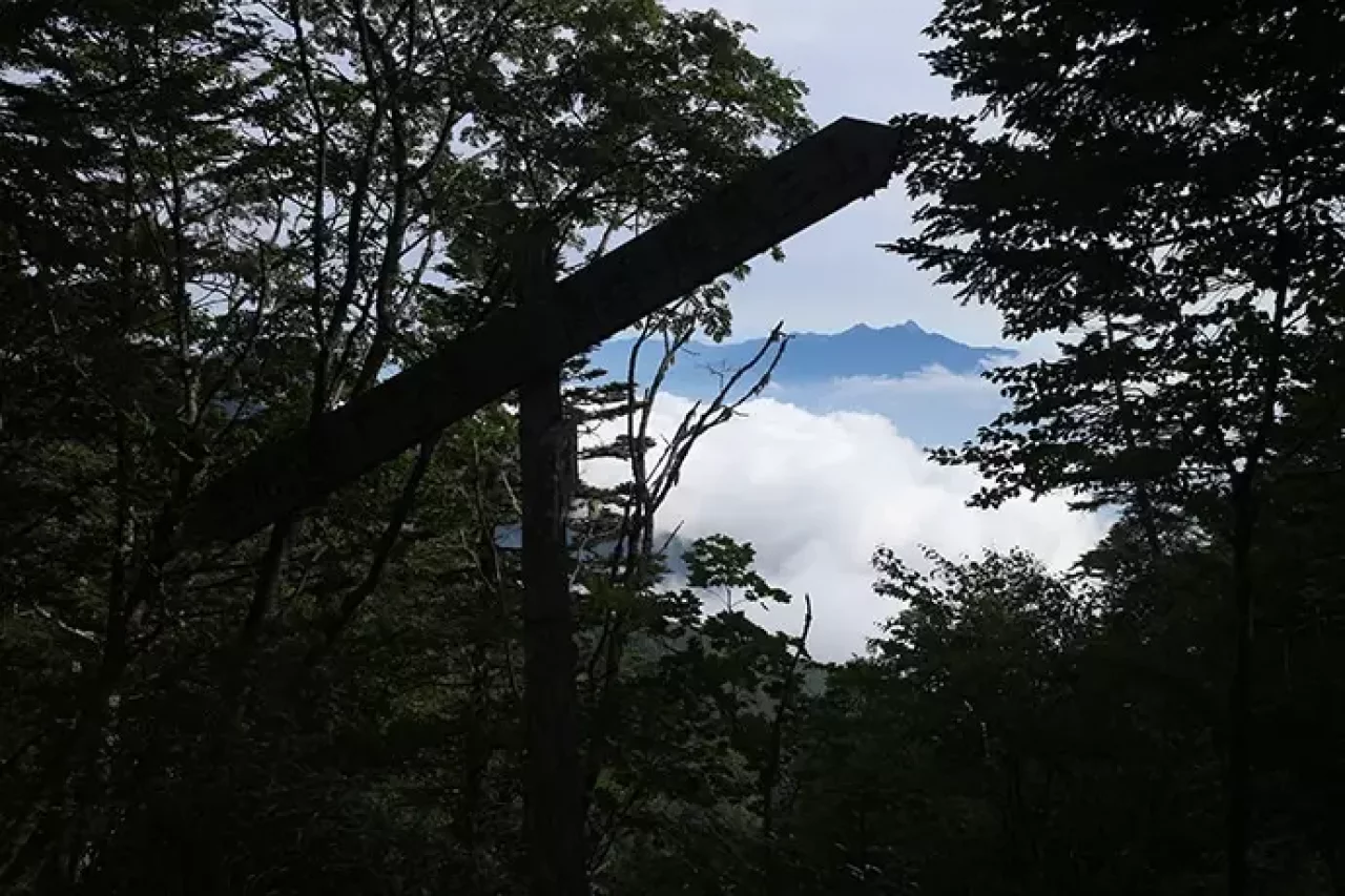 広河原峠までの登山道