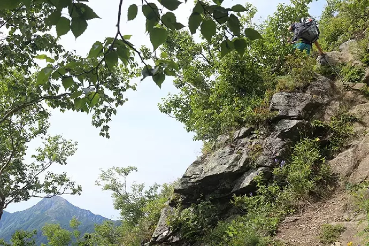 広河原峠までの登山道