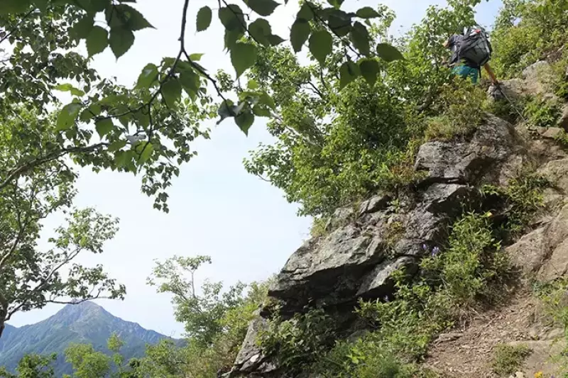 広河原峠までの登山道