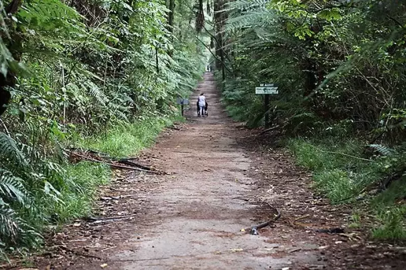 レッドウッド ファカレワレワ フォレスト