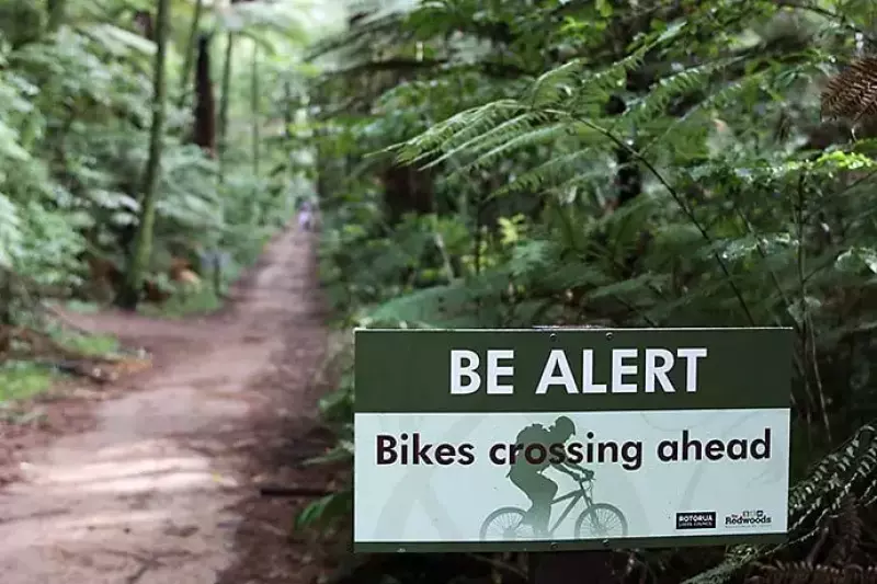 レッドウッド ファカレワレワ フォレスト