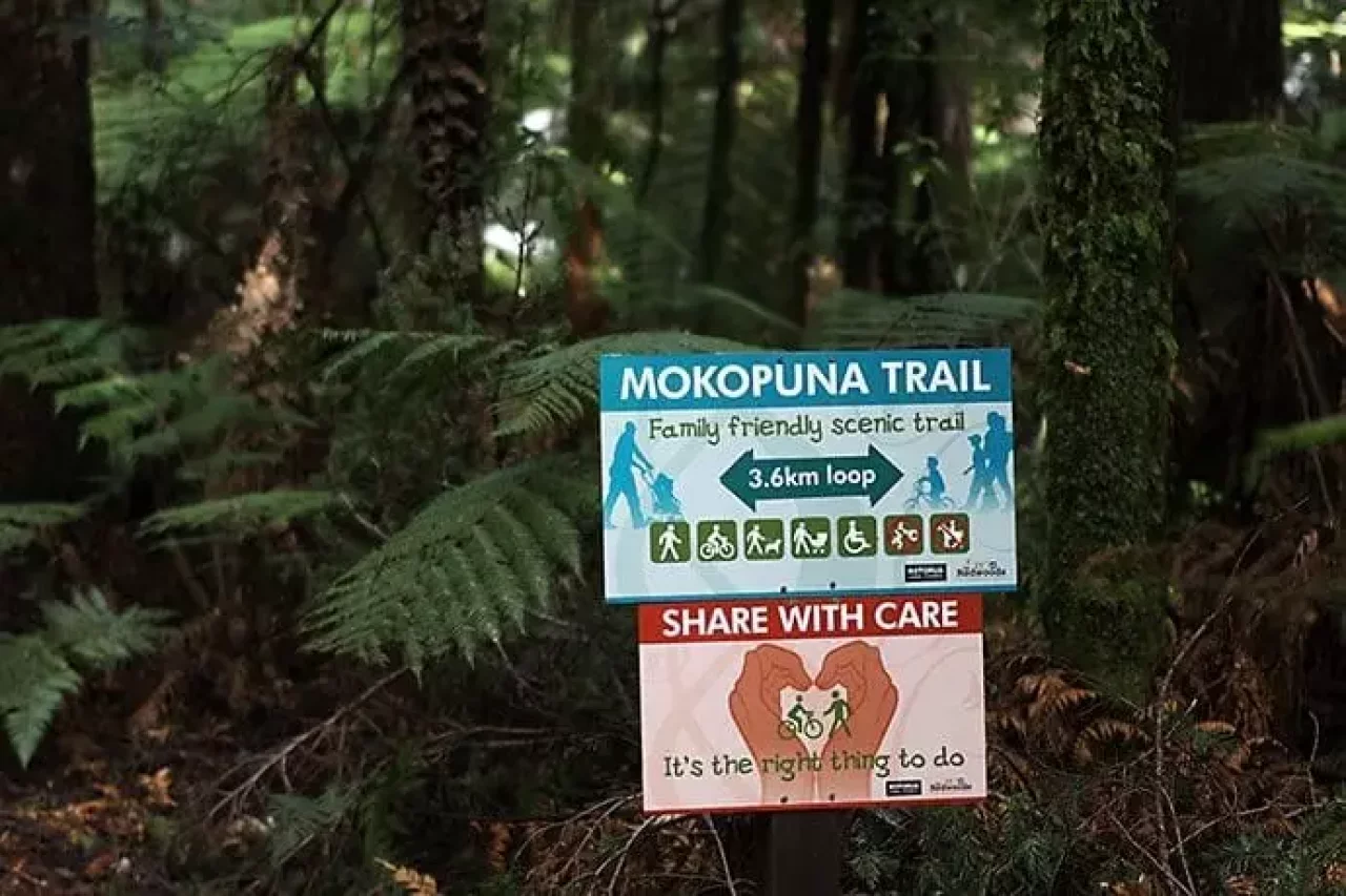 レッドウッド ファカレワレワ フォレスト