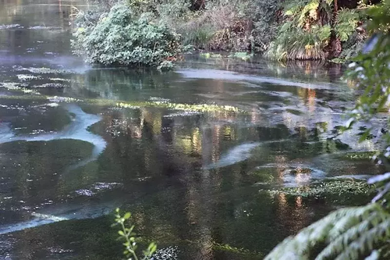 ハムラナ自然公園