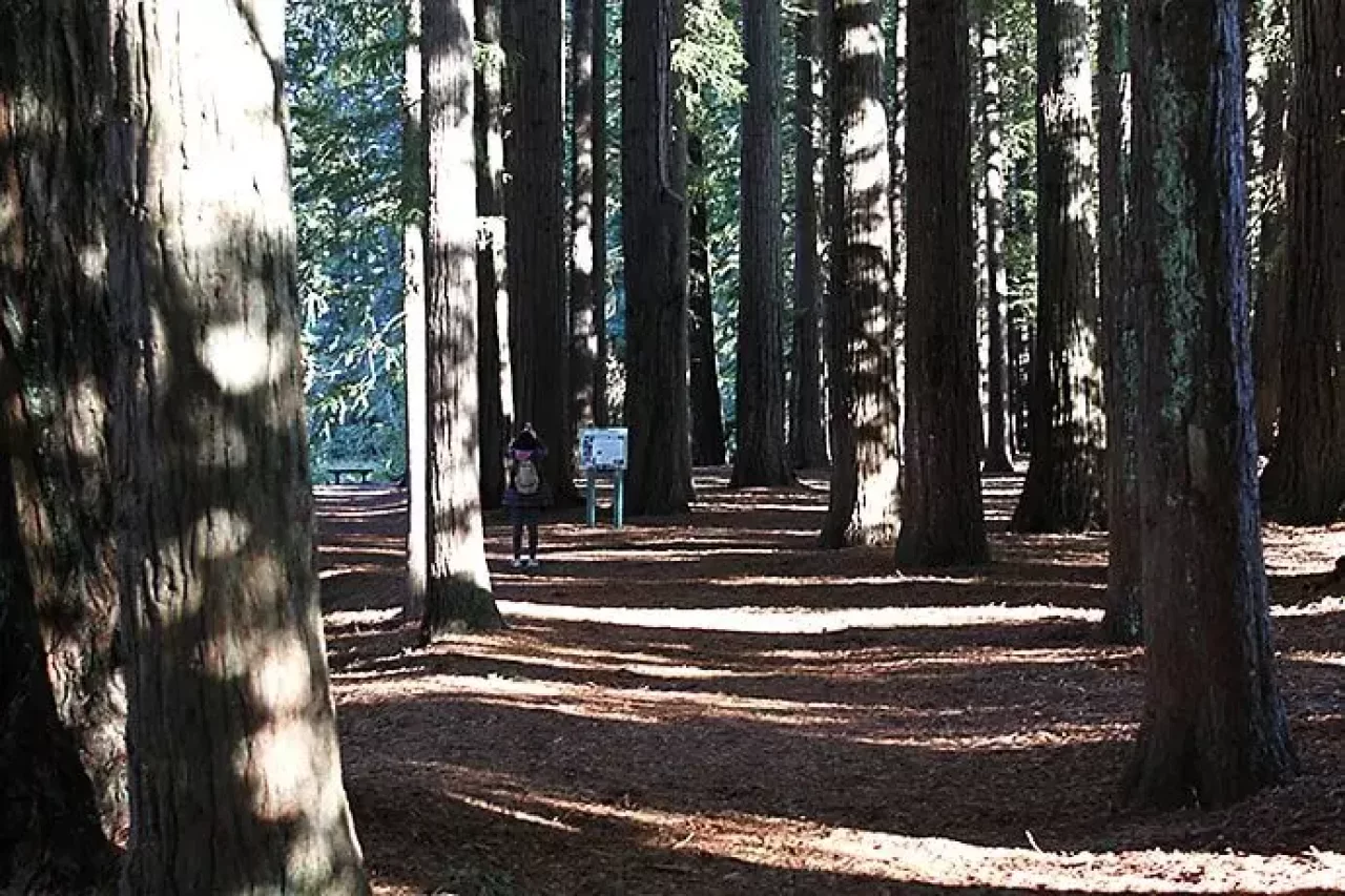 ハムラナ自然公園