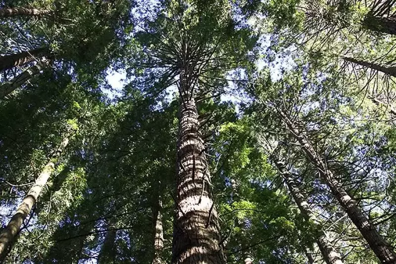 ハムラナ自然公園