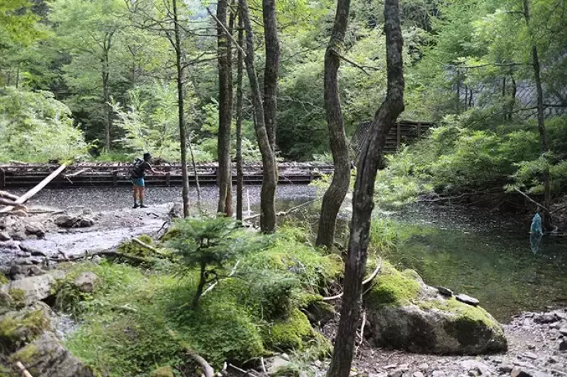 北沢の渓