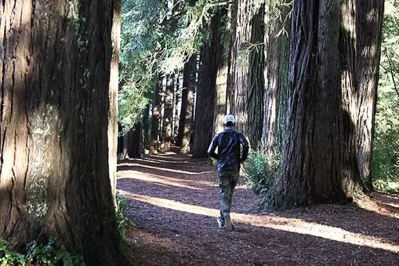 ハムラナ自然公園