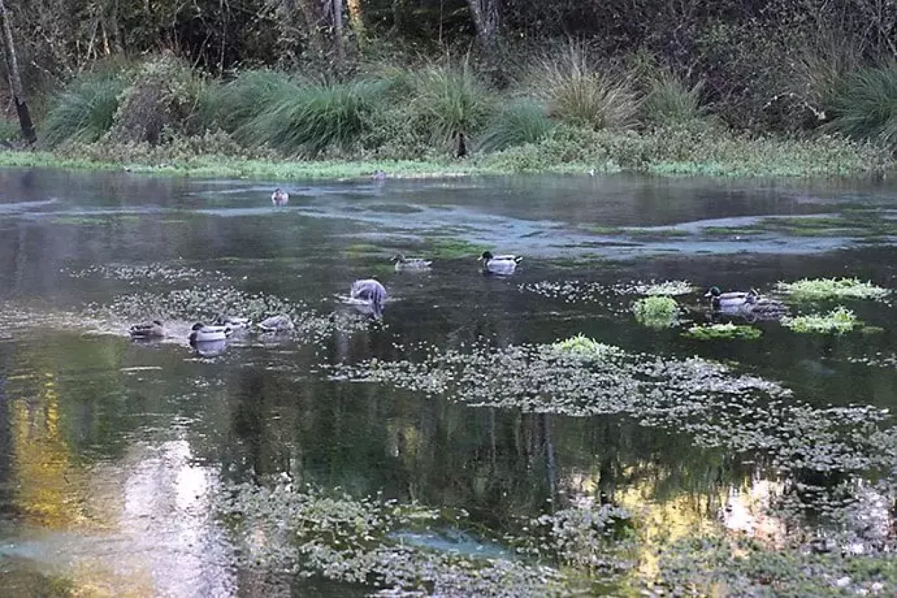 ハムラナ自然公園