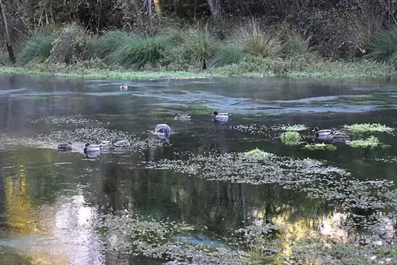 ハムラナ自然公園