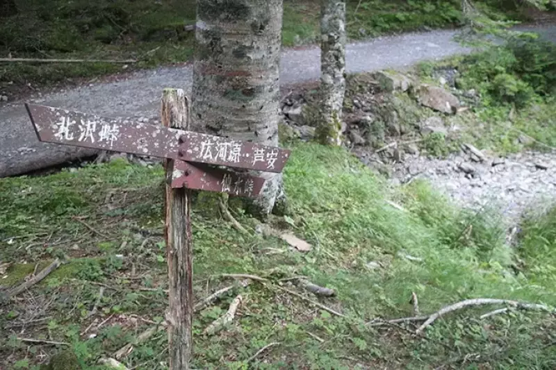 広河原山荘への林道道
